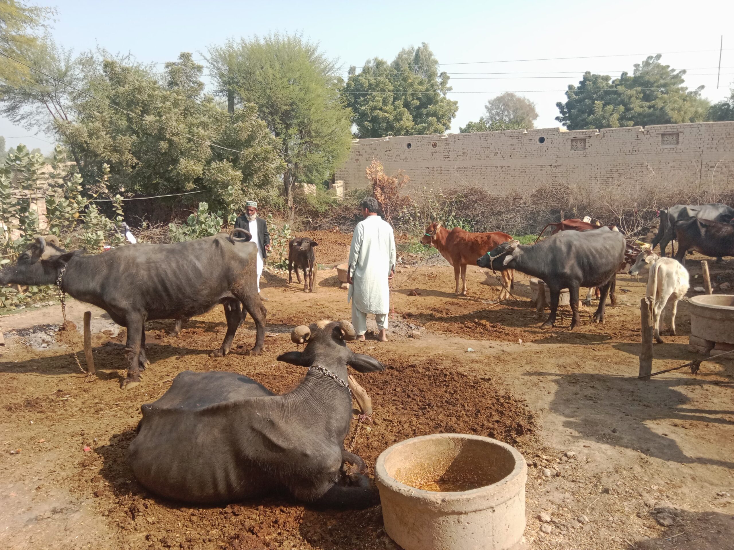 9a1d24b6-9e18-48aa-9a60-dcd855fa13aa